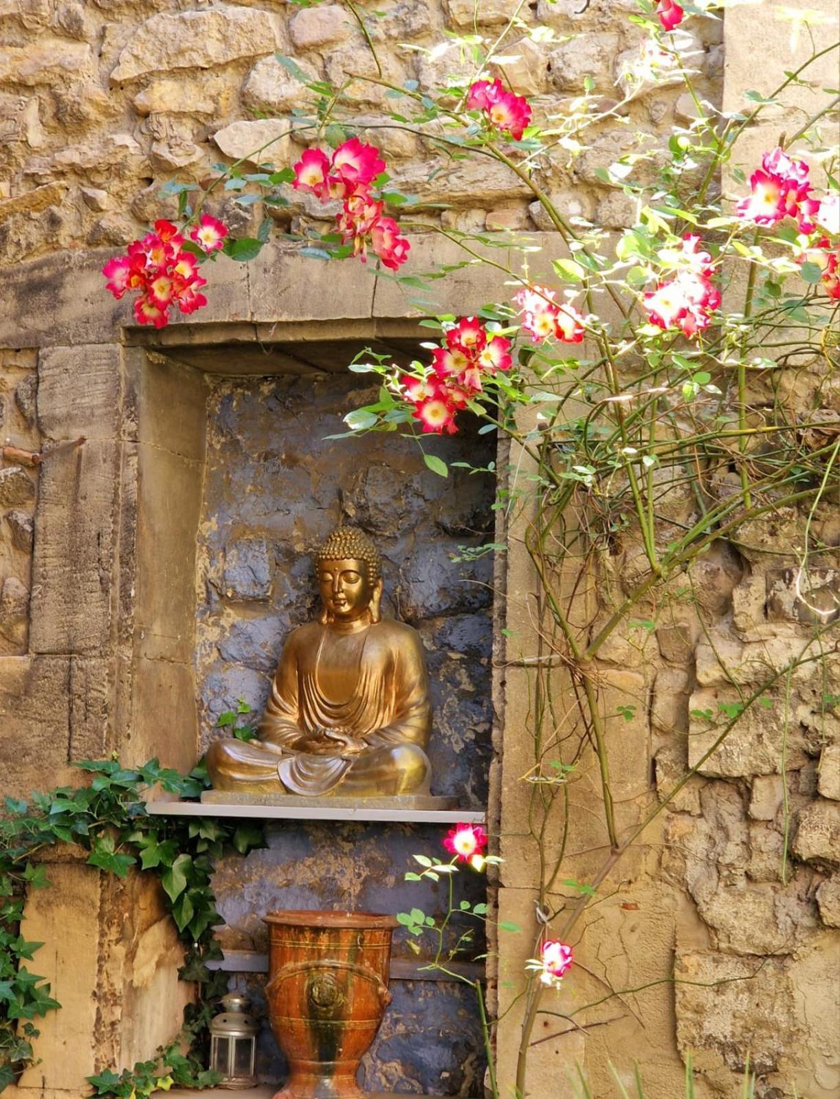Capucines, Un Jardin Secret Dans Le Centre Historique Lejlighed Arles Eksteriør billede